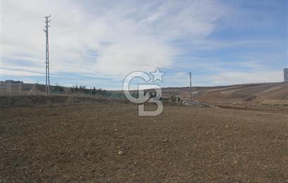 HACILARDA MÜSTAKİL TAPULU 1500.m²’ LİK SATILIK ARSA