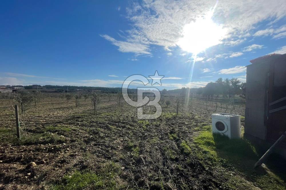 BOZCAADA'DA SATILIK TAŞ EV VE ARAZİ