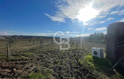 BOZCAADA'DA SATILIK TAŞ EV VE ARAZİ