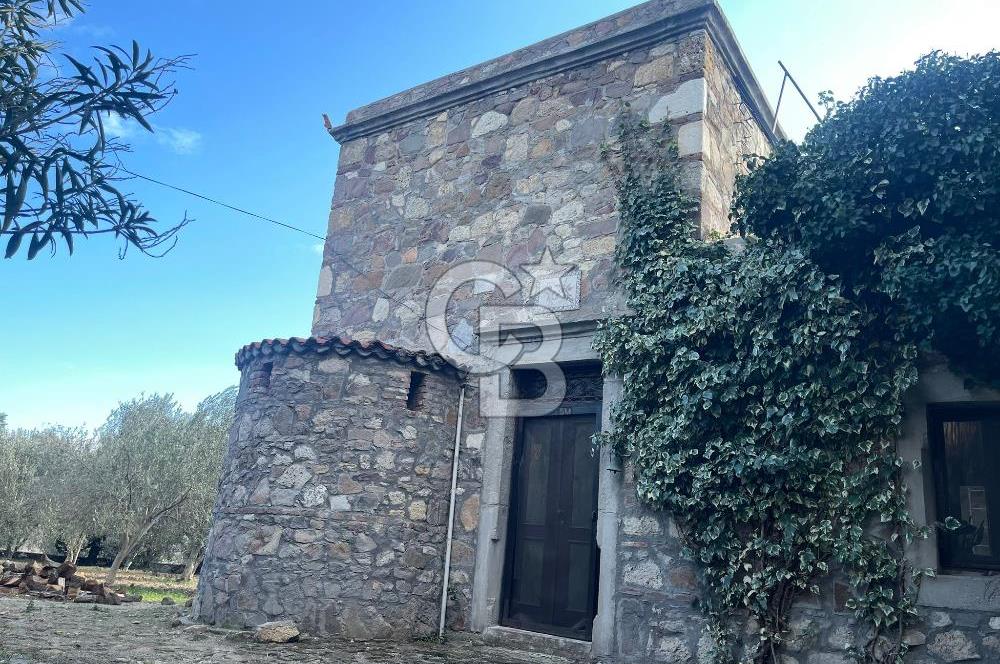 BOZCAADA'DA SATILIK TAŞ EV VE ARAZİ