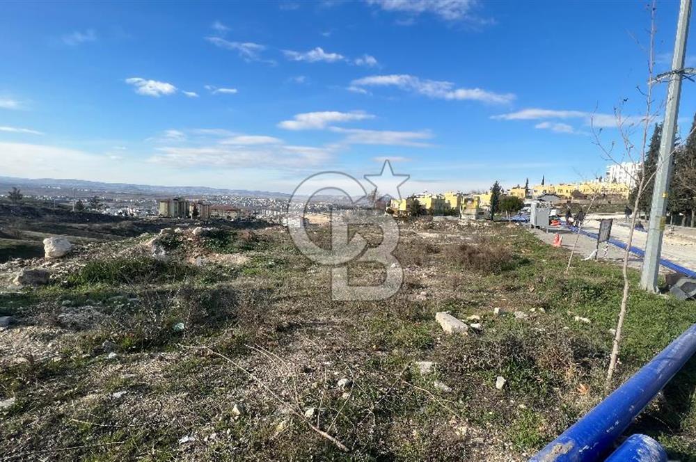 Eşsiz Fırat Manzarasıyla İmara Komşu Parsel 