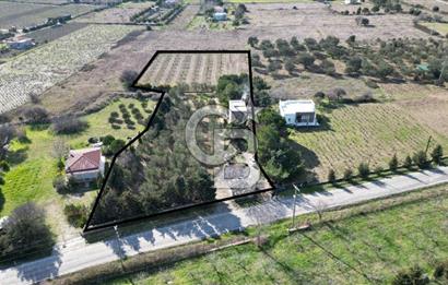 BOZCAADA'DA SATILIK TAŞ EV VE ARAZİ