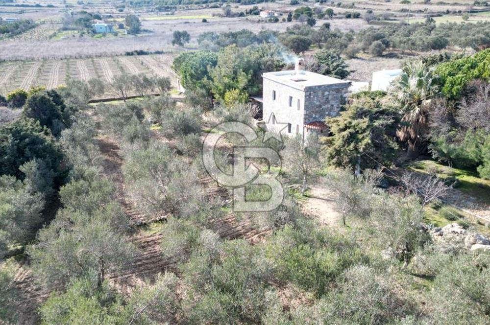 BOZCAADA'DA SATILIK TAŞ EV VE ARAZİ