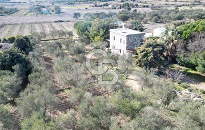 BOZCAADA'DA SATILIK TAŞ EV VE ARAZİ