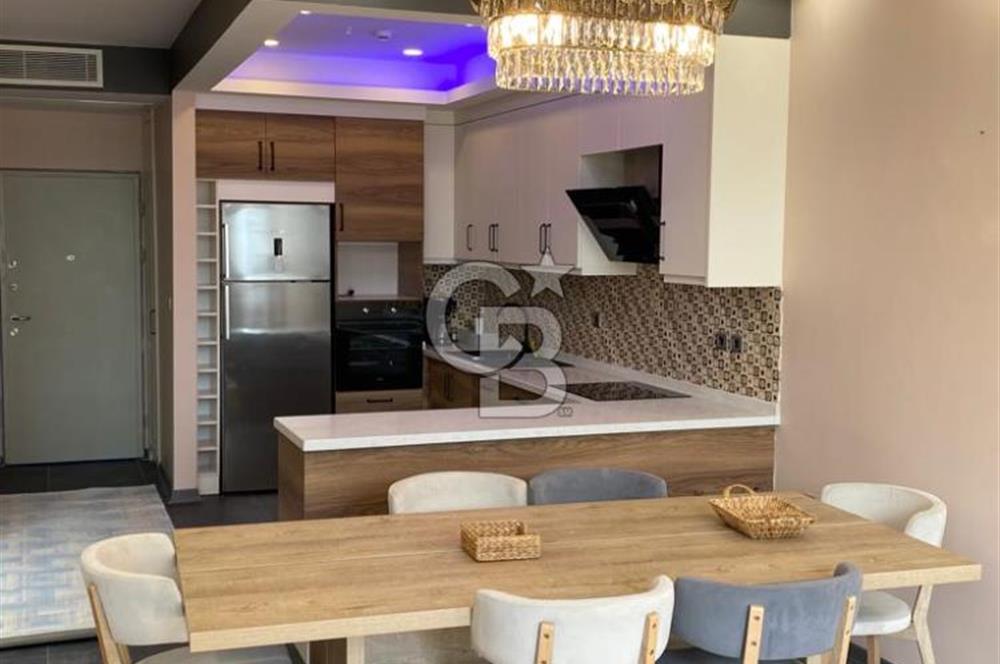 Cer İstanbul’da kiralık müstakil ev