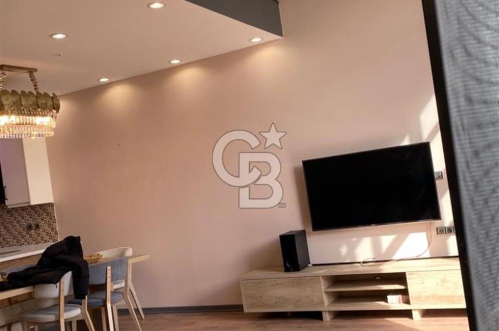 Cer İstanbul’da kiralık müstakil ev