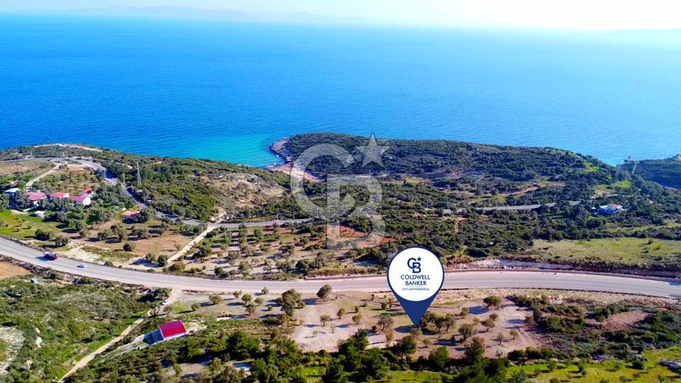 Karaburun Mordoğan Azmak'ta Deniz Manzaralı Yola Cepheli Tarla