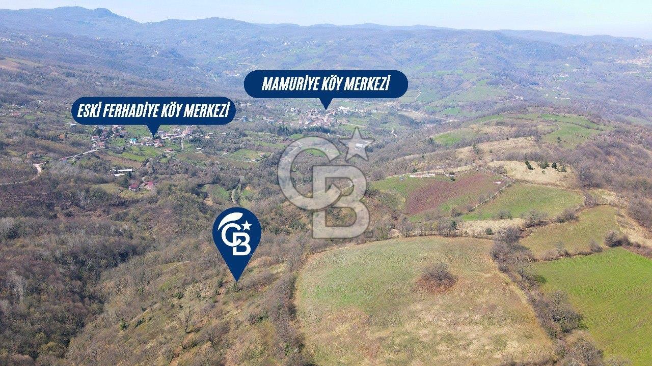 CB ENVOY'DAN GÖLCÜK ESKİ FERHADİYE'DE YOLA CEPHELİ TARLA