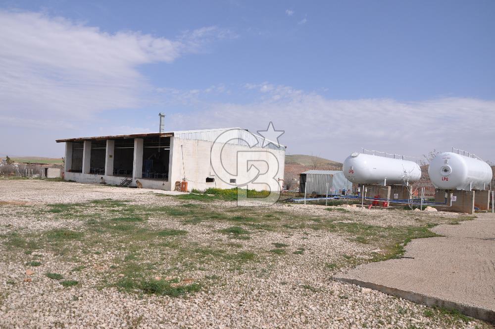 CB ACAR'DAN BOZOVA-URFA ASFALTINA SIFIR LPG DOLUM TESİSİ