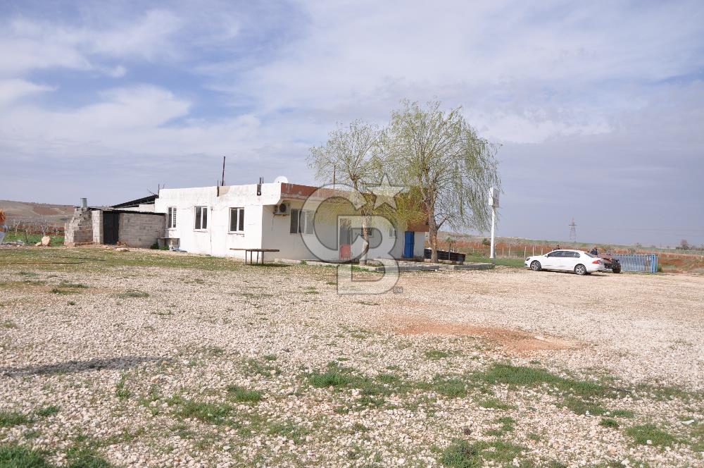 CB ACAR'DAN BOZOVA-URFA ASFALTINA SIFIR LPG DOLUM TESİSİ
