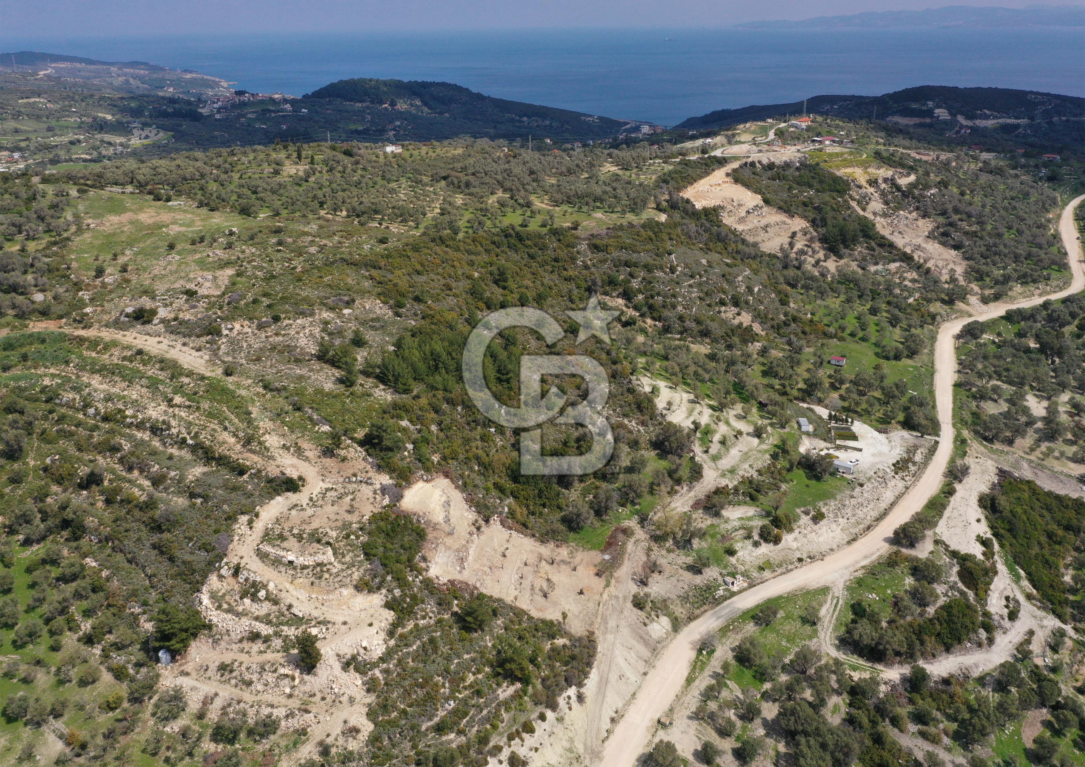 Karaburun Eğlenhoca Gölet Yolunda Resmi Yola Cepheli Tarla