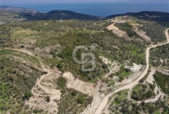 Karaburun Eğlenhoca Gölet Yolunda Resmi Yola Cepheli Tarla