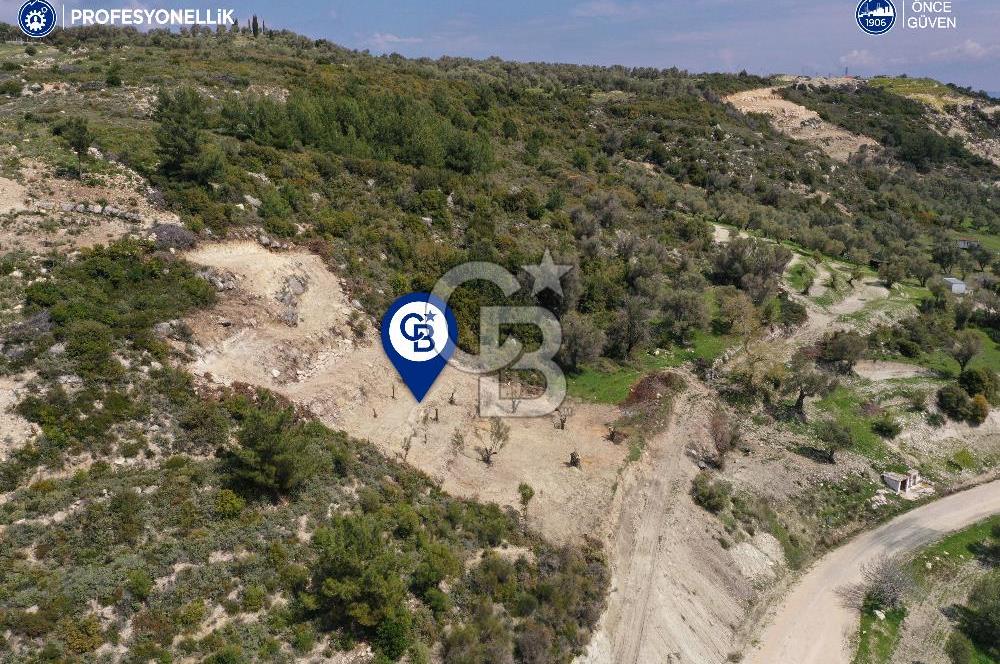 Karaburun Eğlenhoca Gölet Yolunda Resmi Yola Cepheli Tarla