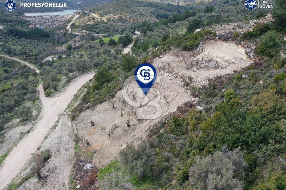 Karaburun Eğlenhoca Gölet Yolunda Resmi Yola Cepheli Tarla