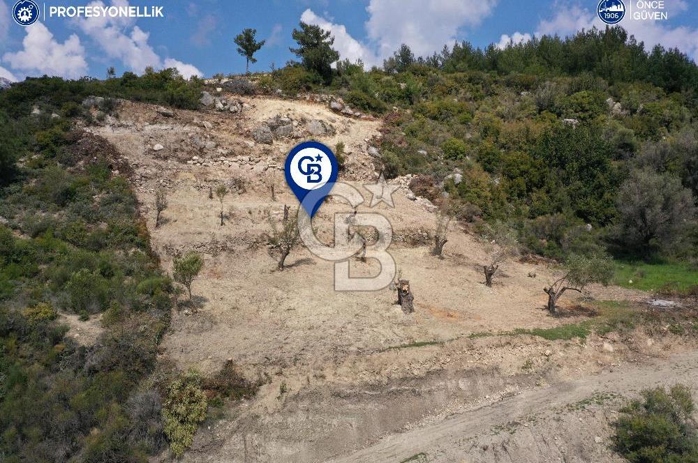 Karaburun Eğlenhoca Gölet Yolunda Resmi Yola Cepheli Tarla