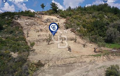 Karaburun Eğlenhoca Gölet Yolunda Resmi Yola Cepheli Tarla