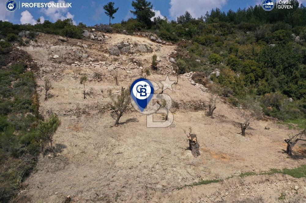Karaburun Eğlenhoca Gölet Yolunda Resmi Yola Cepheli Tarla