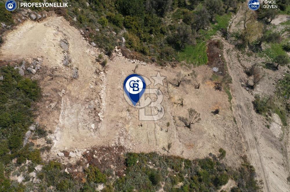 Karaburun Eğlenhoca Gölet Yolunda Resmi Yola Cepheli Tarla