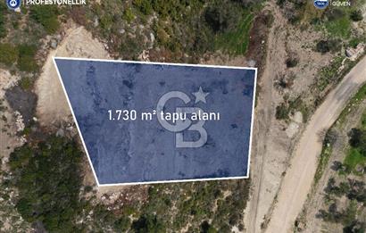 Karaburun Eğlenhoca Gölet Yolunda Resmi Yola Cepheli Tarla