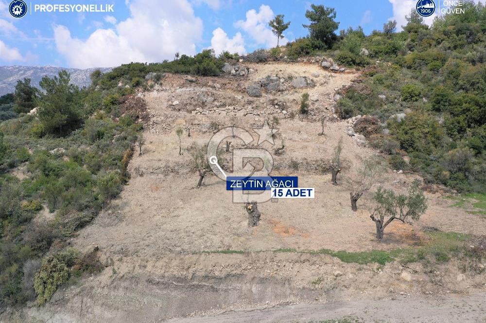 Karaburun Eğlenhoca Gölet Yolunda Resmi Yola Cepheli Tarla
