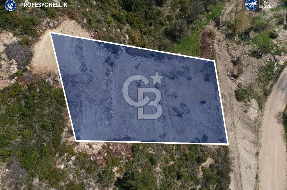 Karaburun Eğlenhoca Gölet Yolunda Resmi Yola Cepheli Tarla