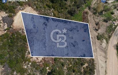 Karaburun Eğlenhoca Gölet Yolunda Resmi Yola Cepheli Tarla