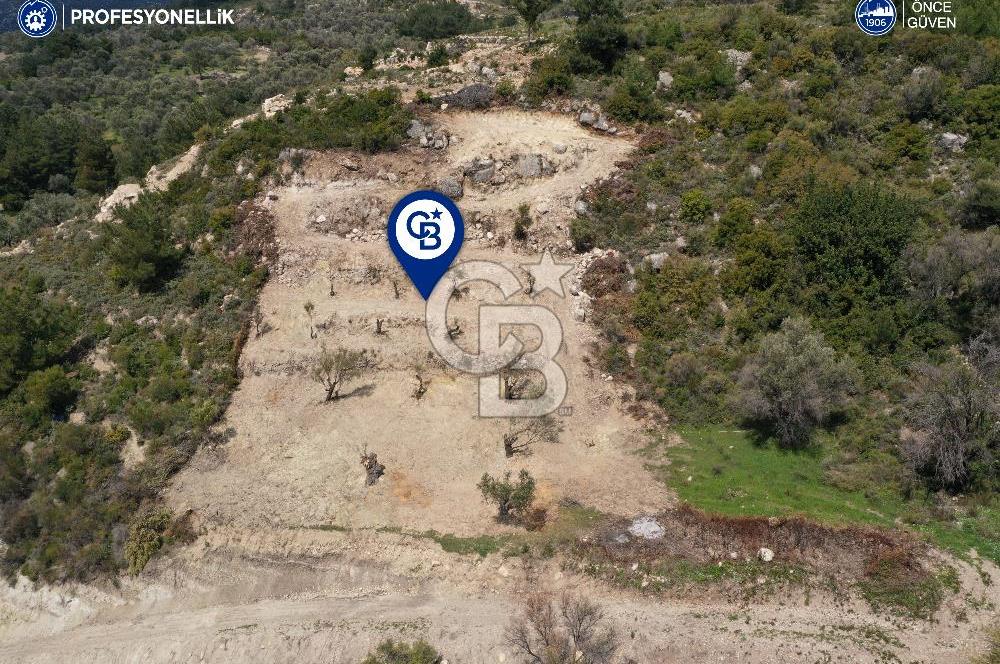 Karaburun Eğlenhoca Gölet Yolunda Resmi Yola Cepheli Tarla