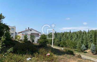 ÇAYIROVADA FIRSAT İKİ PARSEL ARSA