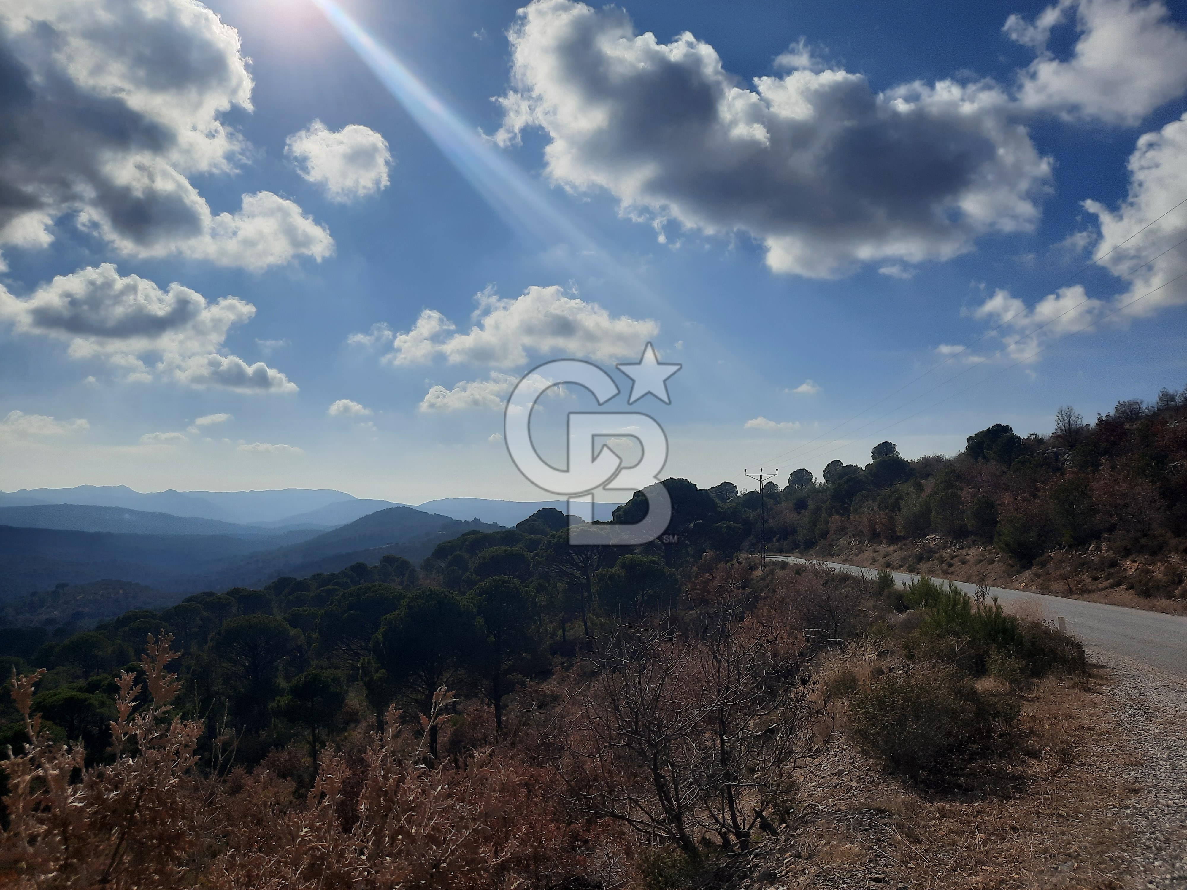 AYVALIK KOZAK BAĞYÜZÜ'NDE ASFALT CEPHELİ DOĞA MANZARALI SATILIK ARAZİ 