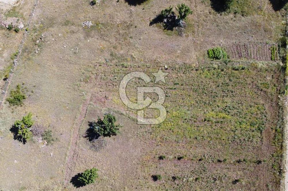 ÇANKAYATOHUMLARDA KULLANIMA VE YATIRIMA UYGUN ALTYAPILI ARAZİ