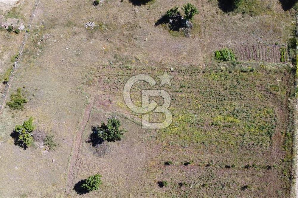 ÇANKAYATOHUMLARDA KULLANIMA VE YATIRIMA UYGUN ALTYAPILI ARAZİ
