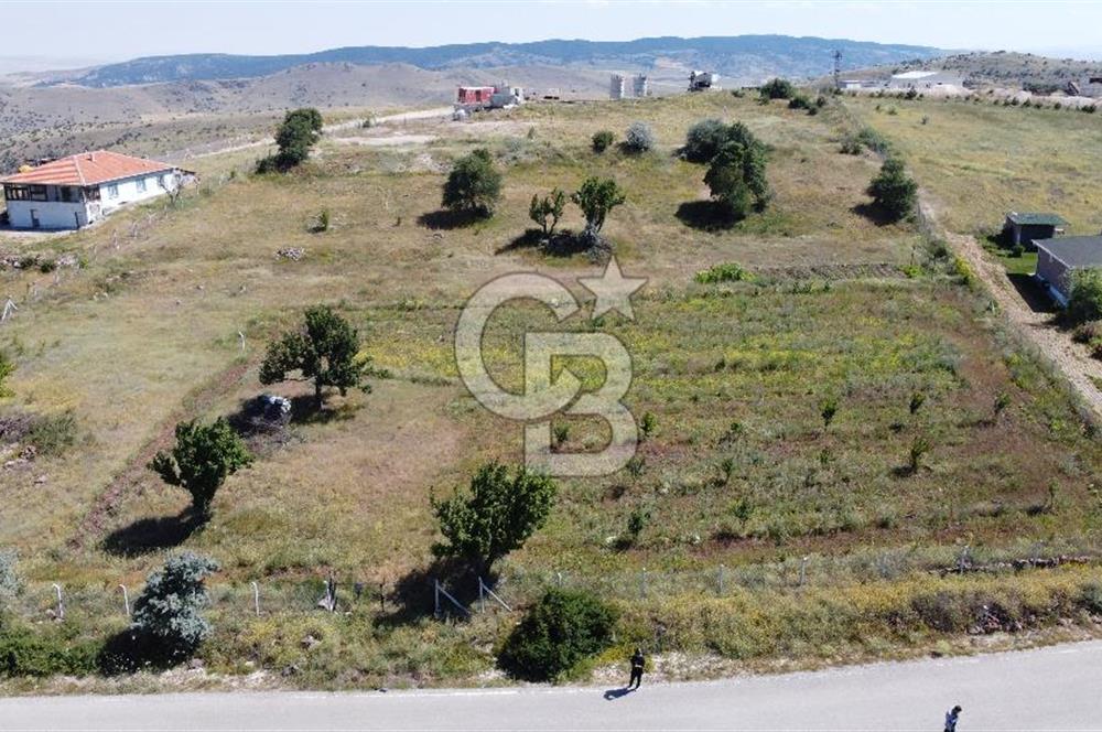 ÇANKAYATOHUMLARDA KULLANIMA VE YATIRIMA UYGUN ALTYAPILI ARAZİ