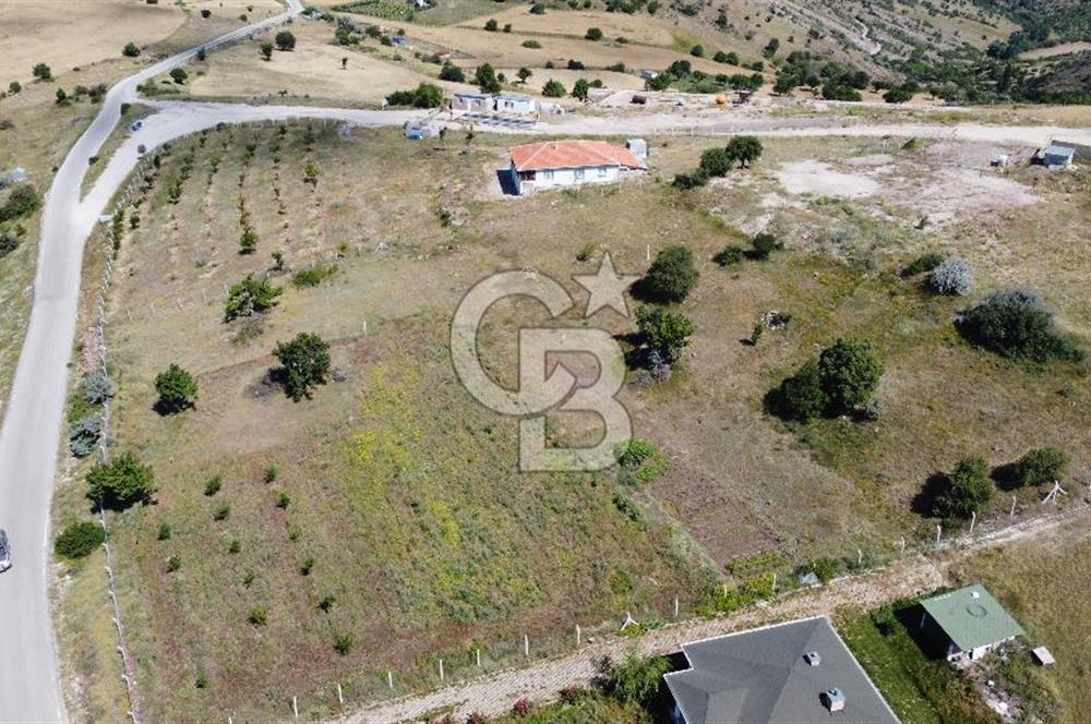 ÇANKAYATOHUMLARDA KULLANIMA VE YATIRIMA UYGUN ALTYAPILI ARAZİ