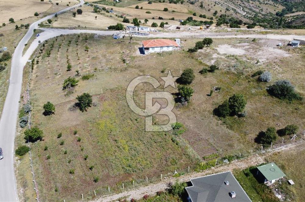 ÇANKAYATOHUMLARDA KULLANIMA VE YATIRIMA UYGUN ALTYAPILI ARAZİ