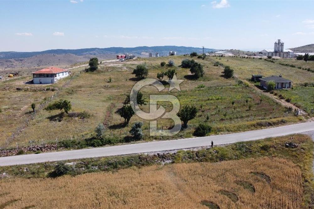 ÇANKAYATOHUMLARDA KULLANIMA VE YATIRIMA UYGUN ALTYAPILI ARAZİ