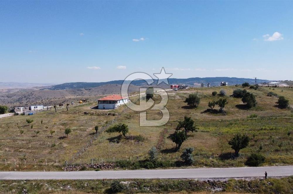 ÇANKAYATOHUMLARDA KULLANIMA VE YATIRIMA UYGUN ALTYAPILI ARAZİ