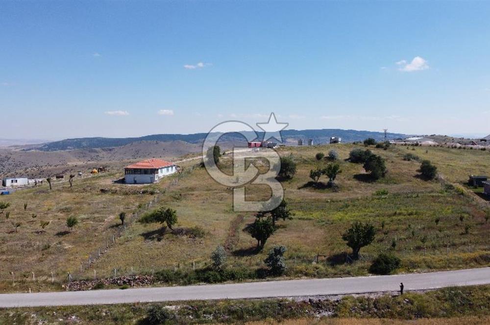 ÇANKAYATOHUMLARDA KULLANIMA VE YATIRIMA UYGUN ALTYAPILI ARAZİ