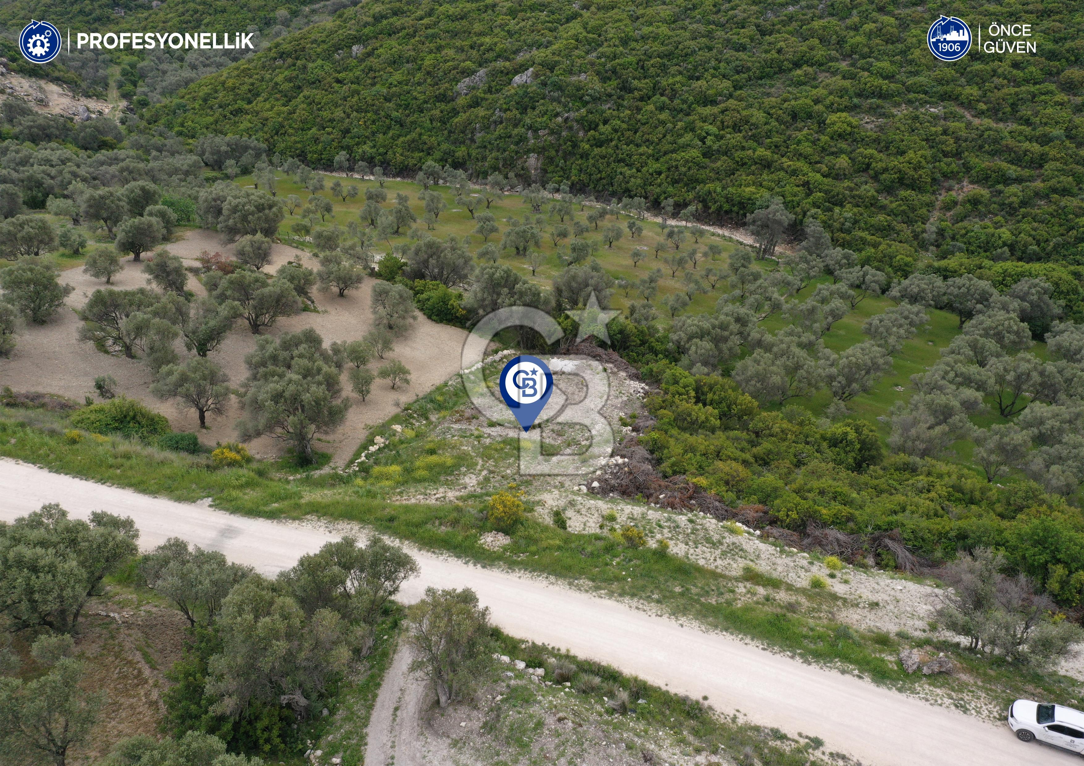 İzmir Karaburun Eğlenhoca'da Satılık Tarla