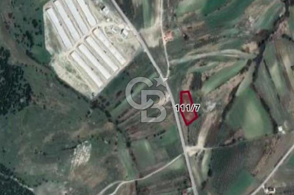 KANDIRA'DA SATILIK 2100 M² ARAZİ