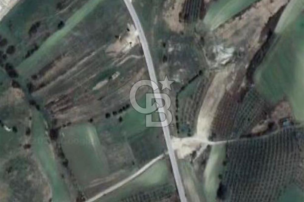 KANDIRA'DA SATILIK 2100 M² ARAZİ