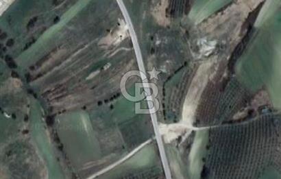 KANDIRA'DA SATILIK 2100 M² ARAZİ