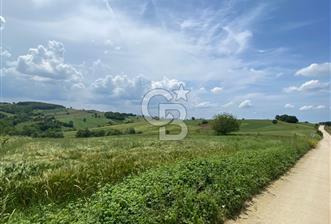 İZMİT SÜVERLER'DE SATILIK 4215 M² ARAZİ  - 1 - 145039