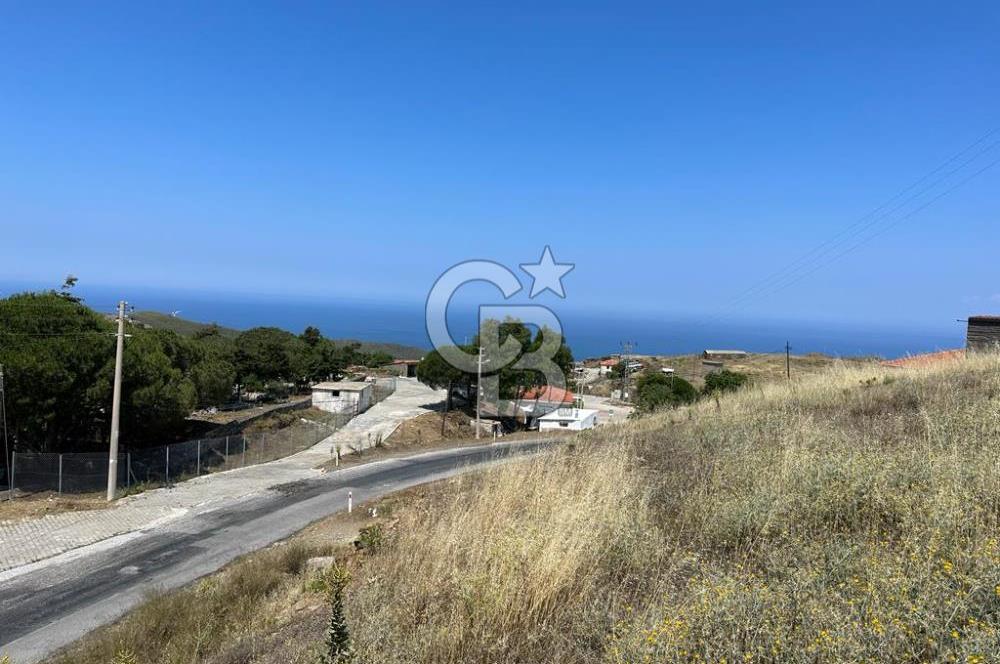 Karaburun Sarpıncık Köyünde Deniz ve Doğa Manzaralı Tarla