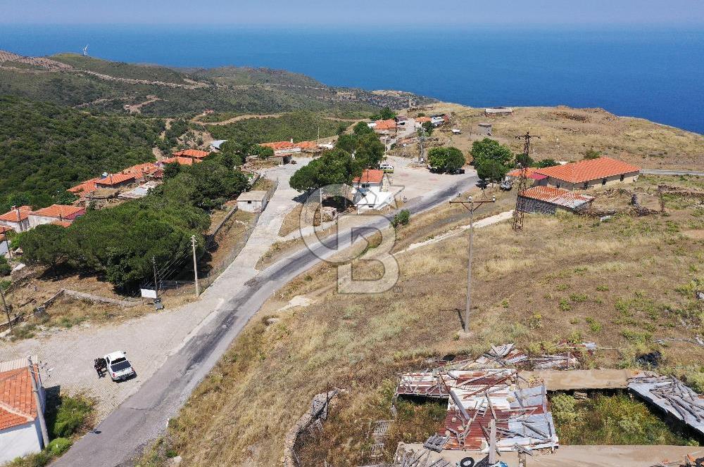 Karaburun Sarpıncık Köyünde Deniz ve Doğa Manzaralı Tarla
