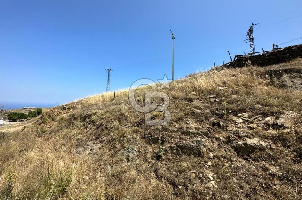 Karaburun Sarpıncık Köyünde Deniz ve Doğa Manzaralı Tarla