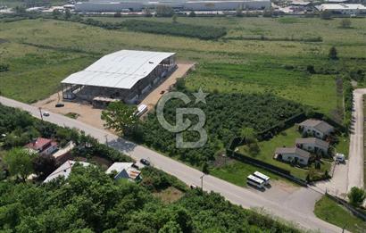 SAKARYA AKYAZI KÜÇÜCEKTE %60 BACALI SANAYİ İMARLI ARSA