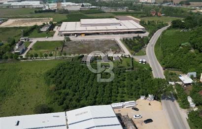 SAKARYA AKYAZI KÜÇÜCEKTE %60 BACALI SANAYİ İMARLI ARSA