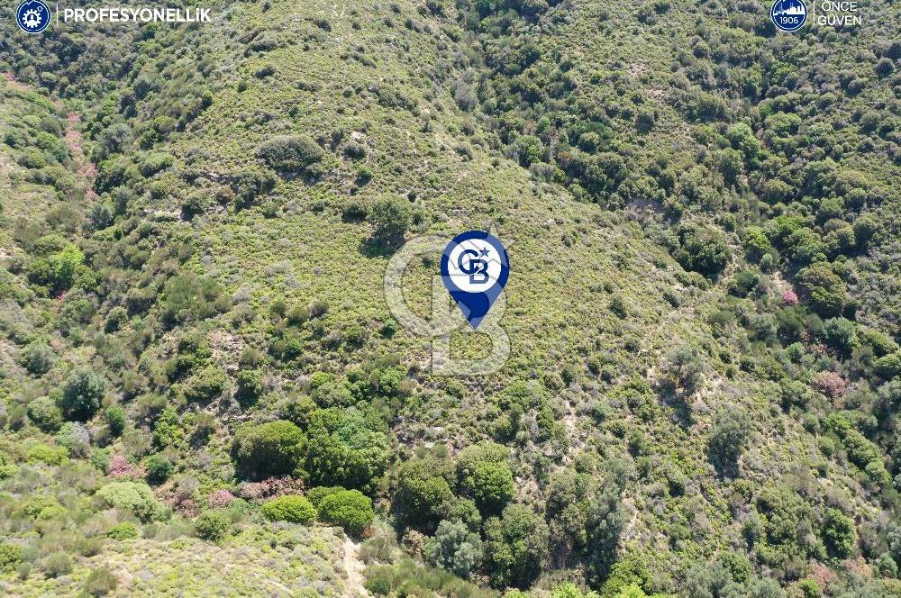 Karaburun Sarpıncık'ta 10.125 m² Tarla