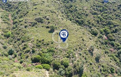 Karaburun Sarpıncık'ta 10.125 m² Tarla