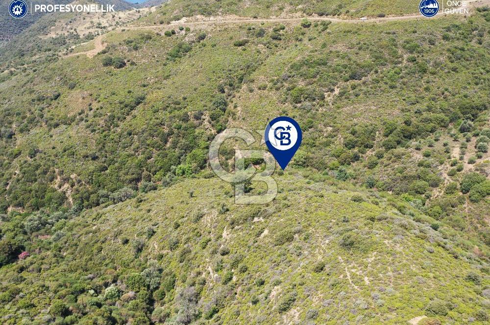 Karaburun Sarpıncık'ta 10.125 m² Tarla